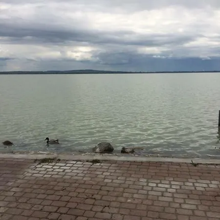 Sissi Vonyarcvashegy-balaton * Vonyarcvashegy